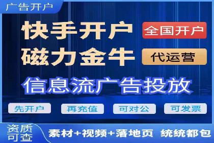 某行业巨头背后的SEM代运营服务公司